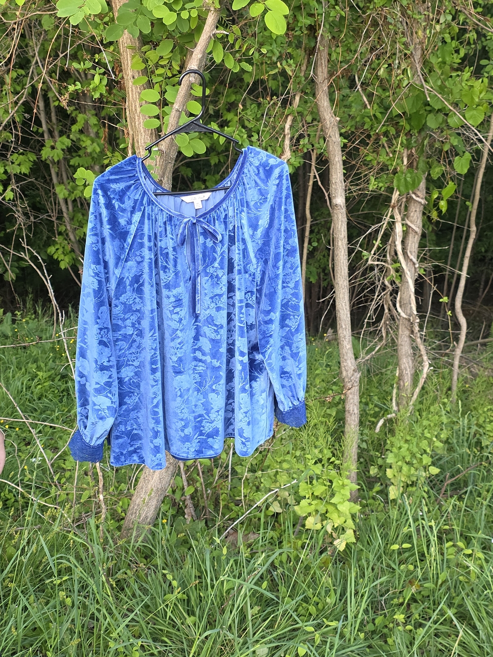 Pioneer Woman Blue Floral Burnout Velvet Peasant Blouse